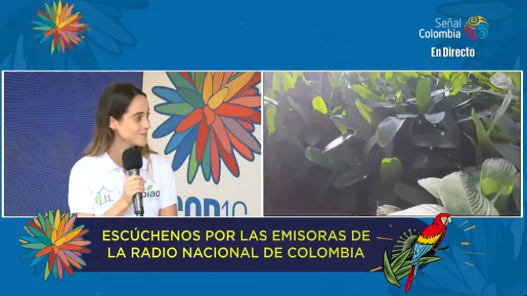 Emprendimiento Casa Bijao, en el Calentao.