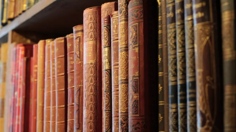 Día del Libro 2025: por qué se conmemora, recomendaciones literarias