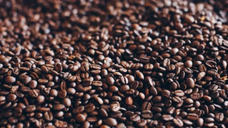 Día internacional del café: exportación del café colombiano