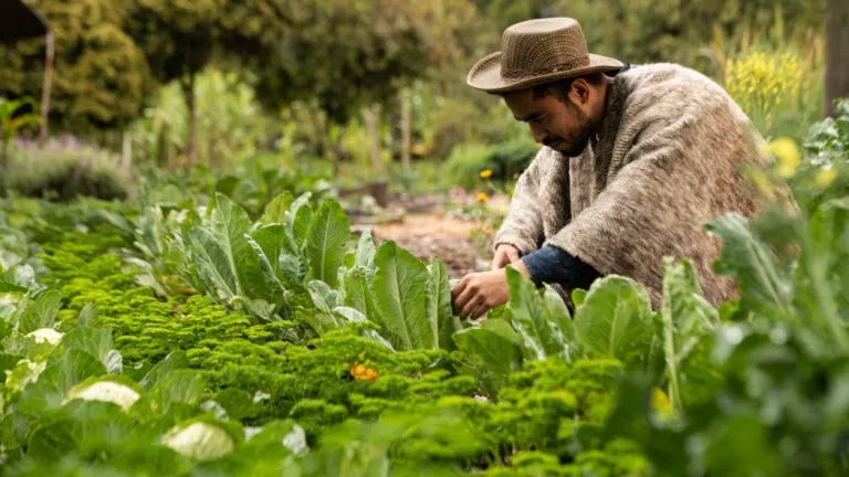Día Mundial de la Agricultura