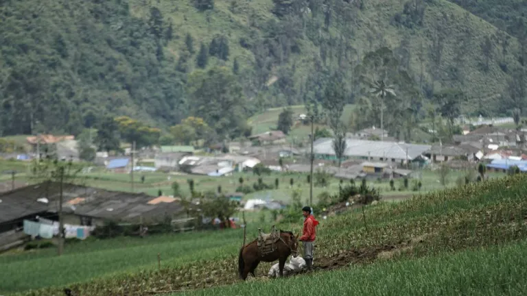 MinAgricultura envía mensaje a campesinos: "No es invadiendo tierras"