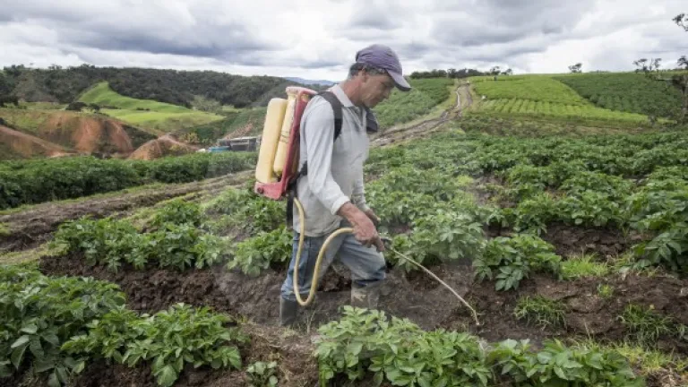 Crecimiento exportaciones septiembre 2025: impulsadas sector agropecuario 