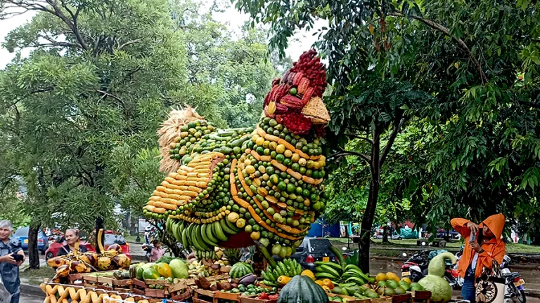 Festival de la Cosecha en Granada, Meta | Carrozas agrícolas