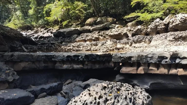 Día Internacional de Acción por los Ríos: río Oibita, caudal sagrado