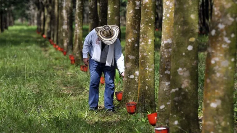 Foto: Ministerio de Agricultura