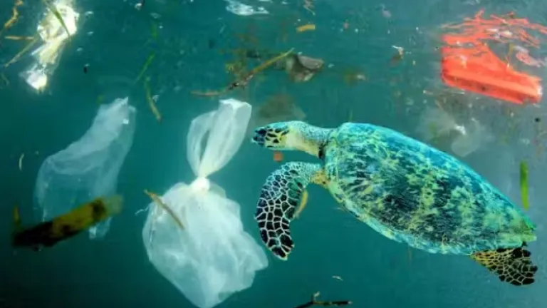 ¿Es posible un mundo sin plásticos?