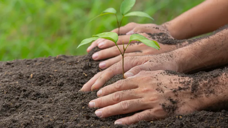 Aprendiendo de la naturaleza, así es el Colegio Agrícola de Pacho, Cundinamarca