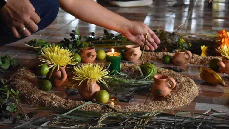 El hilo de agua y barro: El viaje del río Saldaña por los cuerpos y los arrozales del Tolima