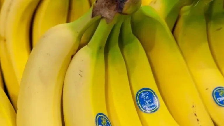 Chiquita Brand responsable de financiar grupos paramilitares