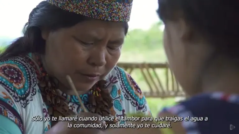Kipara: el arte de curar entre los Embera Chami