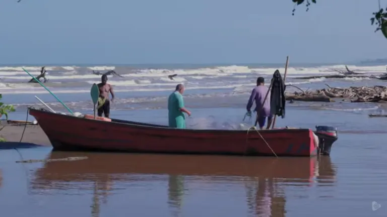 Comunidades afrodescendientes buscan mitigar las desigualdades sociales