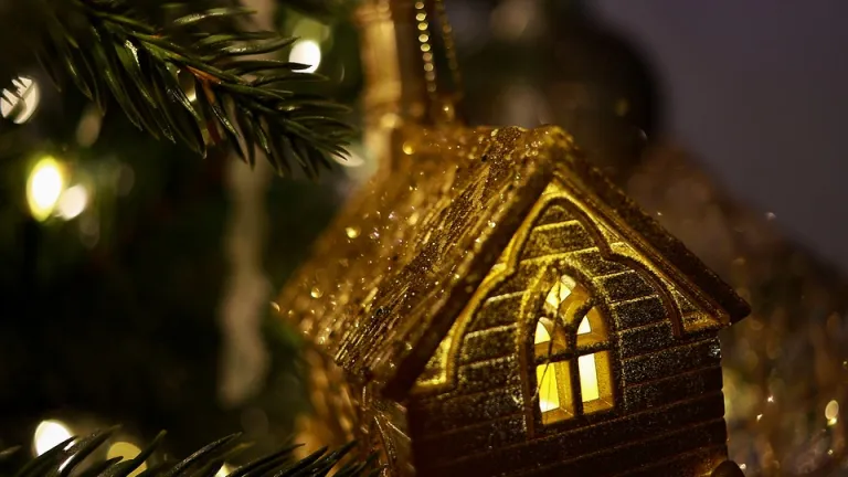 ¿Cuál es el origen de la Navidad? | Pesebre, árbol y Papá Noél 