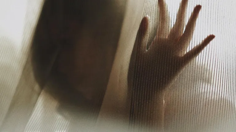 Día Internacional contra la Explotación Sexual de Mujeres, Niñas y Niños: cifras