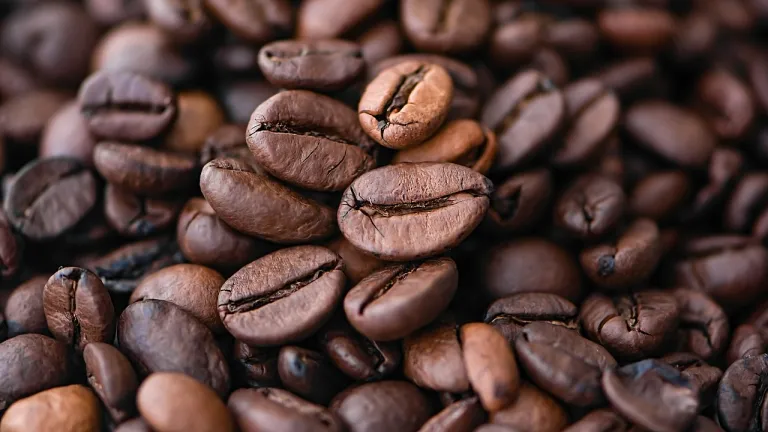Café de Norte de Santander se venderá al mundo