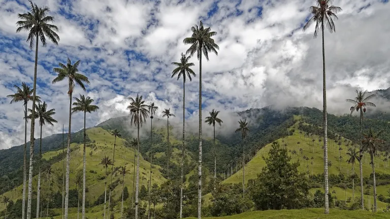 Biodiversidad Colombia: especies, datos y retos