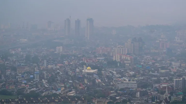 1,5 millones de muertes anuales ligadas a contaminación por incendios