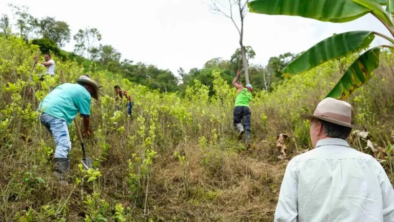 Inversión del Gobierno en Nariño: $400.000 millones para sustituir cultivos ilícitos y apoyar a campesinos