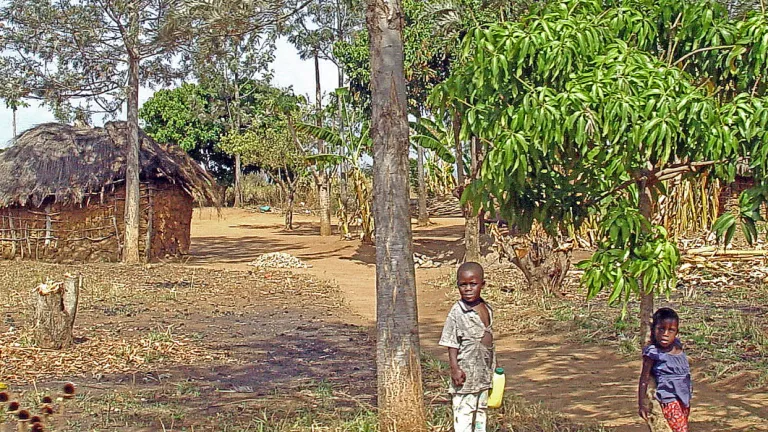 fotografía de hogar en una aldea de la zona tropical