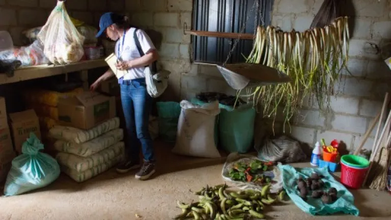 Garantizar la alimentación y la Guajira: Corte exige al Gobierno
