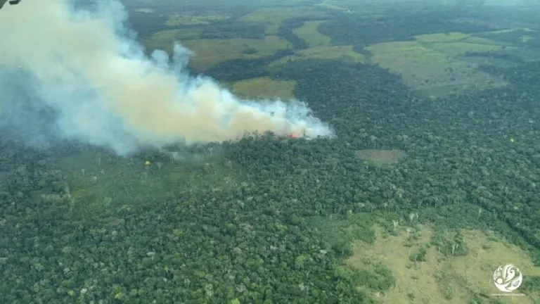 Anuncian inversión de recursos para combatir la deforestación en la Amazonía 