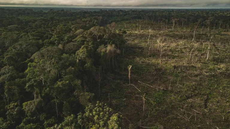 Deforestación en Colombia: cifras, lugares y ecosistemas