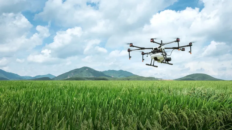 Siembra de árboles: Caldas, escogido para piloto de aspersión de semillas con drones