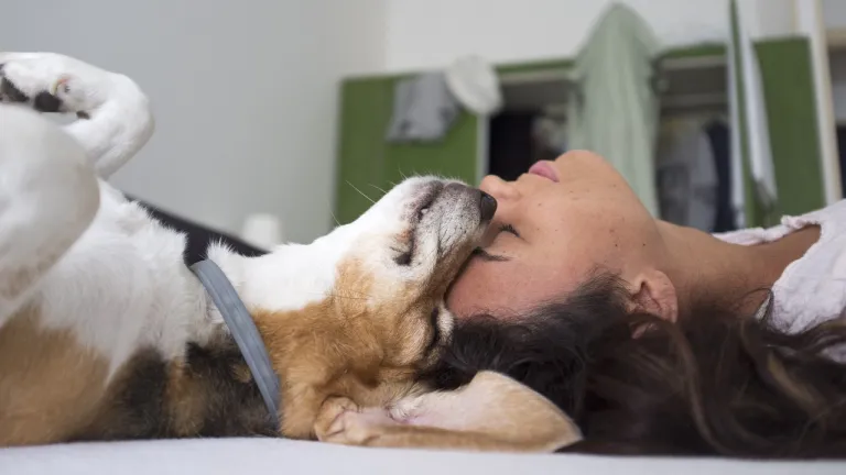 Día Mundial del Perro: origen, significado y por qué se celebra el 21 de julio