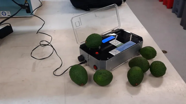Este dispositivo ayuda a medir la madurez ideal del aguacate Hass