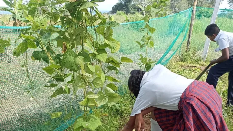 Tercera Feria Agroambiental 2023 en Mesetas, Meta
