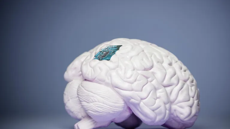 Implantes cerebrales como el creado por Elon Musk