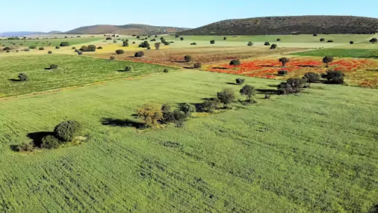 Beneficios de devolver la biodiversidad al campo