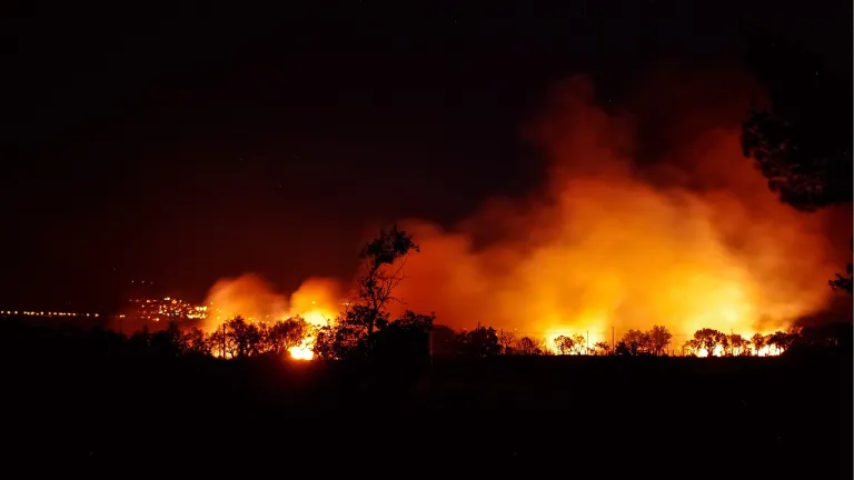 Incendios forestales arrasan 3.049 hectáreas en México