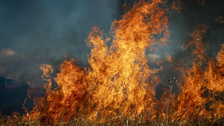  Más de 24 horas lleva trabajando el cuerpo de bomberos del municipio para controlar la conflagración.