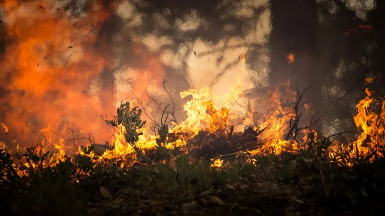 Más de 500 municipios en el país están en alerta por incendios forestales