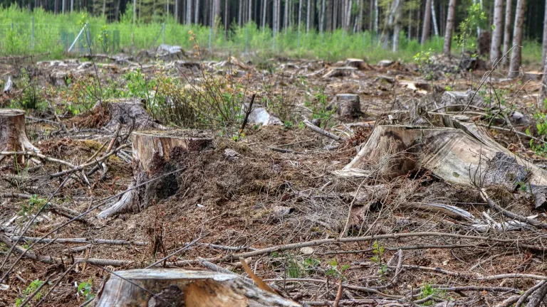 Deforestación en Colombia