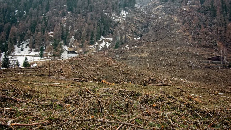 Operación 'Artemisa' contra la deforestación en Colombia | Ministerio de Ambiente 