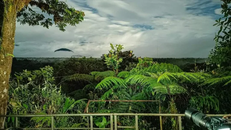 Reserva natural 'La Planada': Turismo sostenible en Nariño | Comunidad Awá
