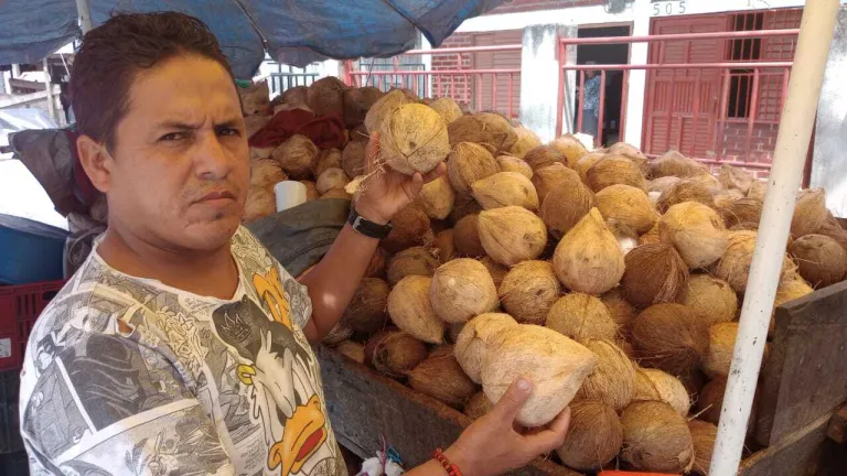 Una plaga azota a Nariño.