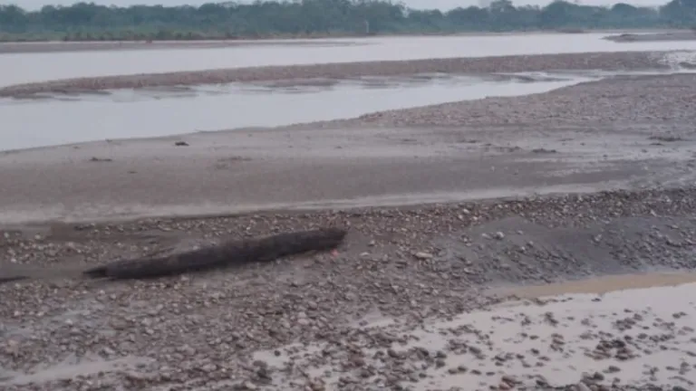 Familias afectadas por desbordamiento de río Ariari