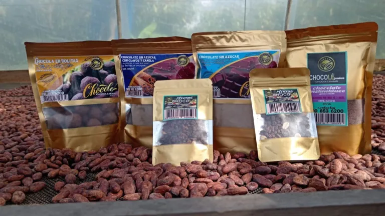 Cacaoteras del sur del Meta