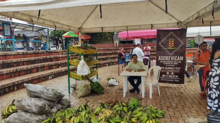 Asociaciones campesinas en el sur del Meta: una opción incluyente para los campesinos del territorio 