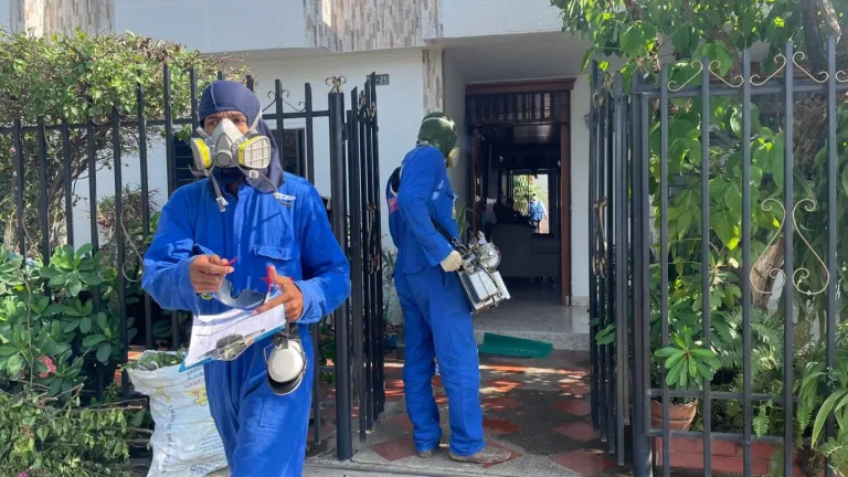 Alerta por aumento de casos de dengue en el Cesar