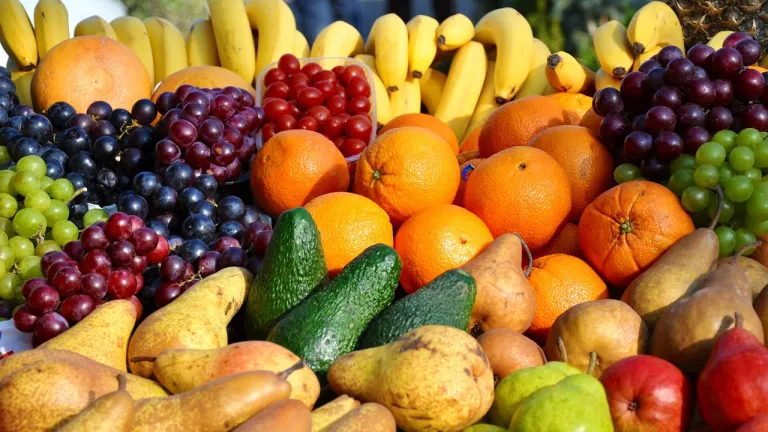 Abecé de ley hambre cero y banco de alimentos