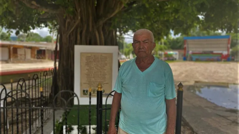 Masacre en San Juan Nepomuceno | El guáimaro, un árbol de memoria