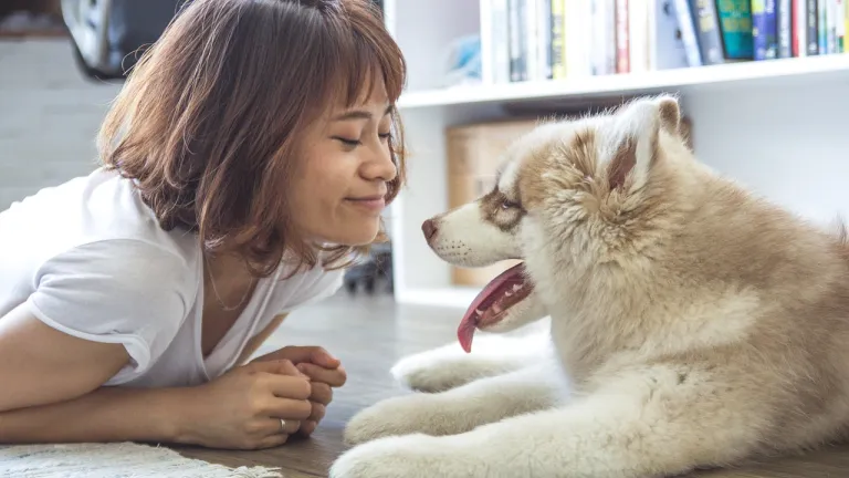 ¿Cómo entienden los perros el lenguaje humano?