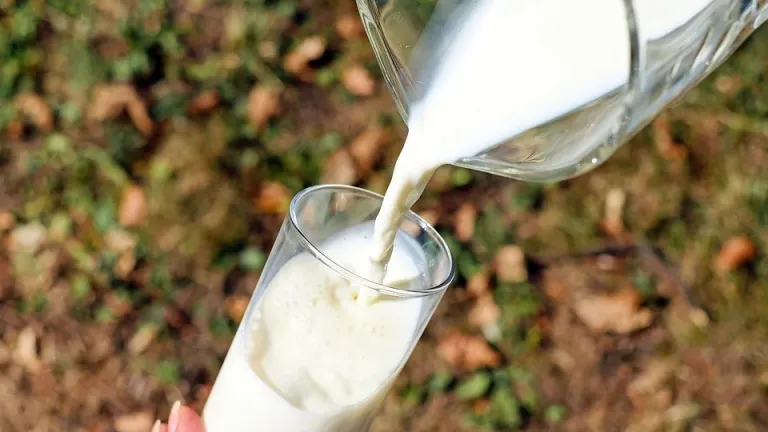 Adición de lactosueros a la leche