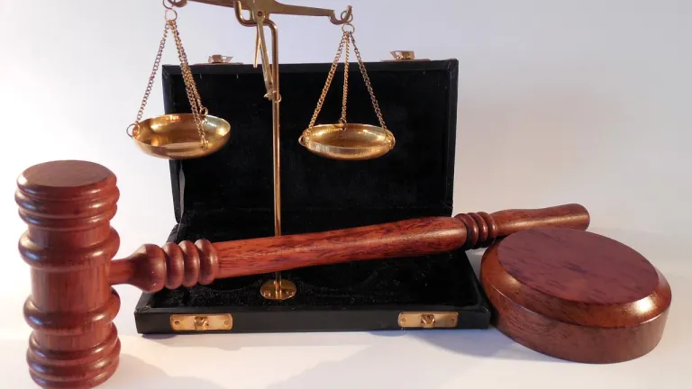 Corte: garantía derechos personas en condición de discapacidad 