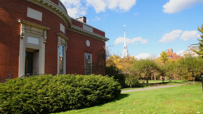 Harvard 