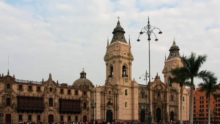 ¿Qué es el Síndrome de Guillain-Barré, SGB y por qué está dando en Perú?