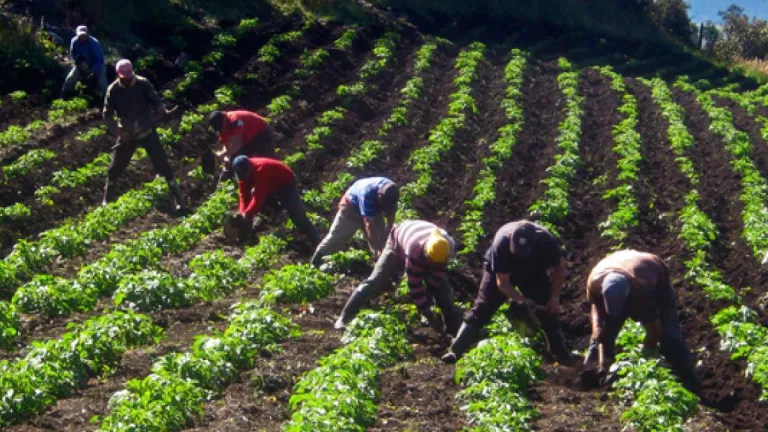 Gobierno entrega tierras a comunidades desplazadas en Huila y Sucre como parte de la Reforma Agraria